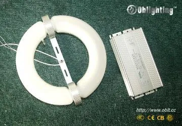 40W~300W circular induction lamp(bulb+ballast)