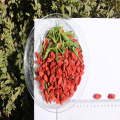 Nutrien yang tinggi yang Diperakui Sehat Berry Goji Berry