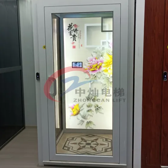 Hydraulic Indoor Home Elevator