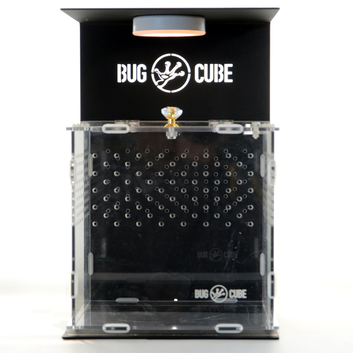 Caixa de criação de acrílico de tamanho personalizável para répteis