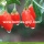 Factory Wholesale New Harvest Fruit Products Wolfberries