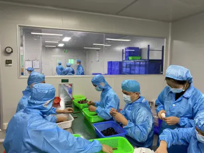 Vegan Black Yellow Blue Thickening & Curly Nourishing Mascara & Serum for Eyelash Growth