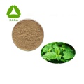 10:1 Melissa Officinalis / Lemon Balm Extract Powder