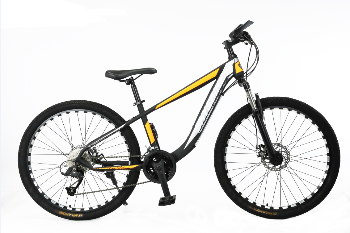 TW-53-1Steel High Quantity MTB Bike