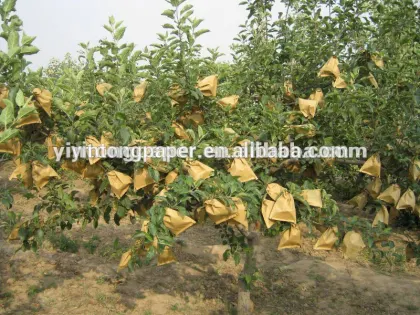 Apple bag/Apple Protection Bag/Apple Paper Bag/fruit growing paper bag