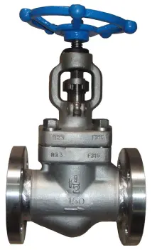 forged type stainless steel globe valve