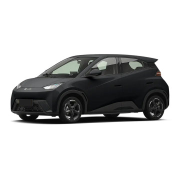 2024 BYD Seagull Electric Hatchback - 305KM Range Affordable New Energy Vehicle