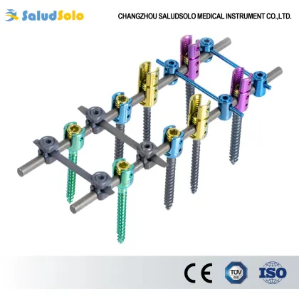 6.0 Spinal Pedicle Screw System