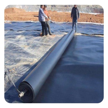 OEM Large Aquaculture Water Tanks: Geomembranes, HDPE Liners & Shrimp Pond Farms
