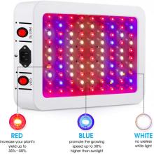 The 2000 watt led grow light