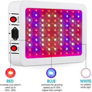 The  2000 watt led grow light