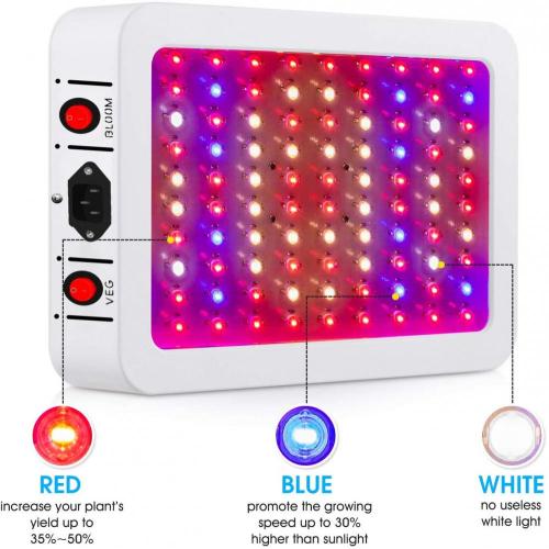 The  2000 watt led grow light