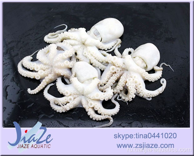 IQF Frozen Octopus flower shape чистая