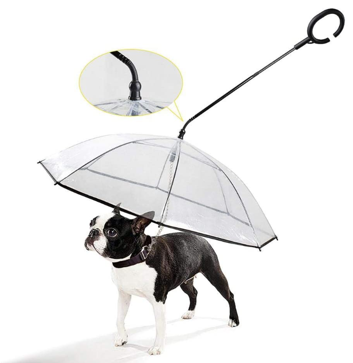 Dog Umbrella with Leash