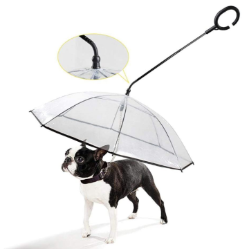 Parapluie de chien avec laisse