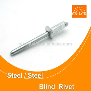 MS blind rivets