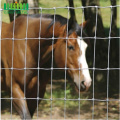 galvanized durable poultry houses farm field fence