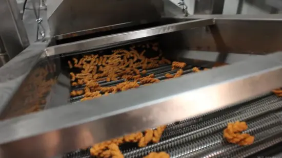 Industrial Continuous Automatic Frying Machine Fryer