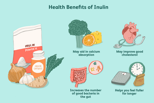 Dietary inulin powder