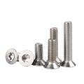 Stainless Steel Torx Screw Plum Socket Countersunk Head