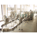 4000BPH Single Servo PET Blow Moulding Machine