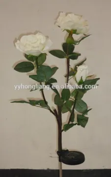 flower rose light