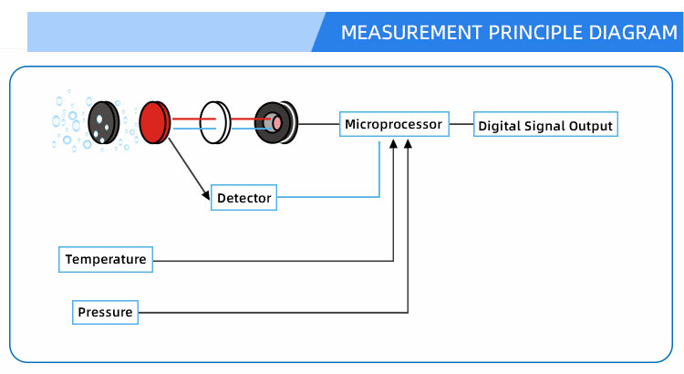 Dissolved oxygen sensor measuring principle diagram