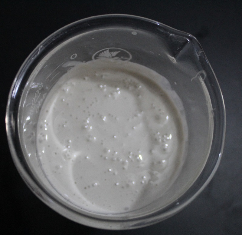 starch glue powder