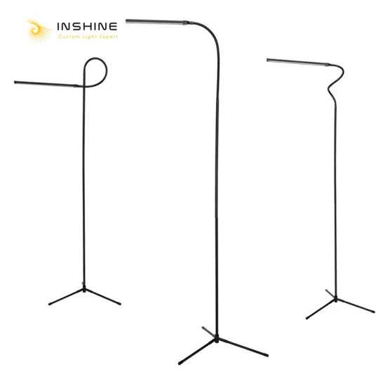 INSHINE Black Floor Lamp Design