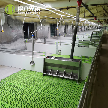 Hot Dip Galvanized Pig Weaning Stall Equipment for Livestock Farming