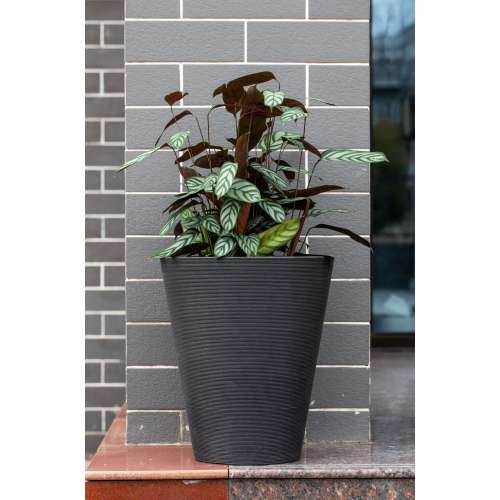 Maceta redonda cilíndrica alta