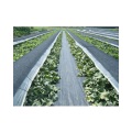 PP woven weed barrier control mat ground cover