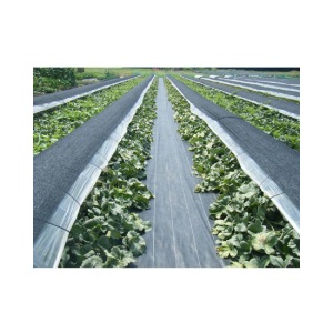 PP woven weed barrier control mat ground cover