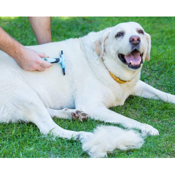 Pinceaux d&#39;animaux de compagnie pour la perte