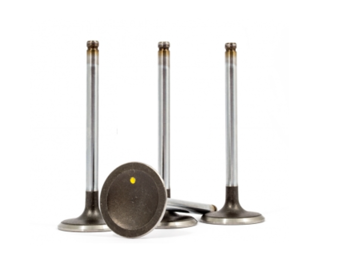 Durable Intake Valves for Industrial