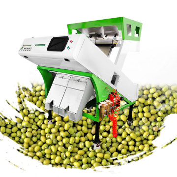 High-Quality Natural Green Mung Beans Sorted by Color Sorter for Bulk Wholesale