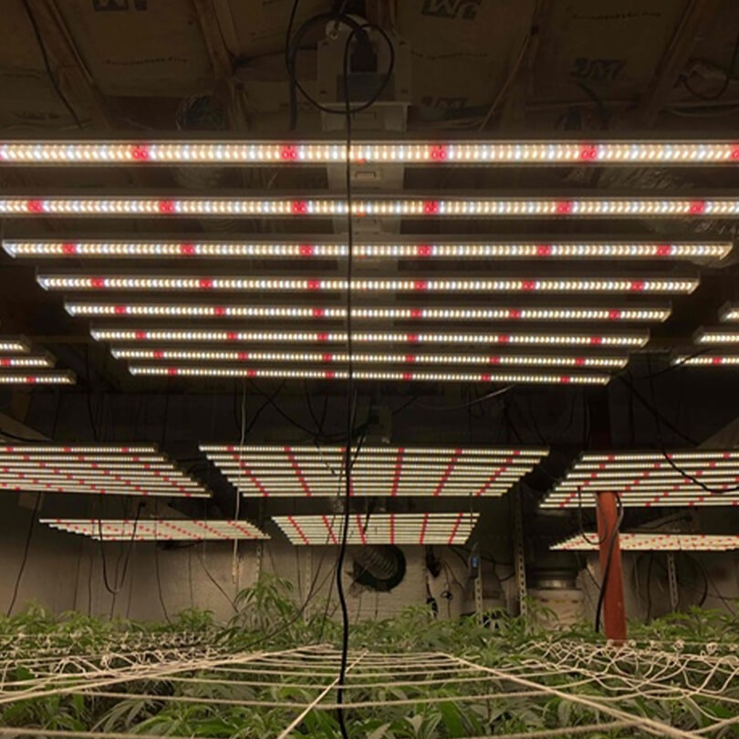 foldable 230w grow light