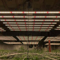 Luces de cultivo LED de la industrial profesional