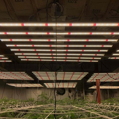 Luzes de cultivo de LED profissionais industriais