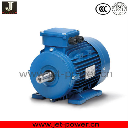 IE3 Premium Efficiency series electric motor