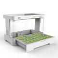 Skyplant Table Intelligent Hydroponic Growing System