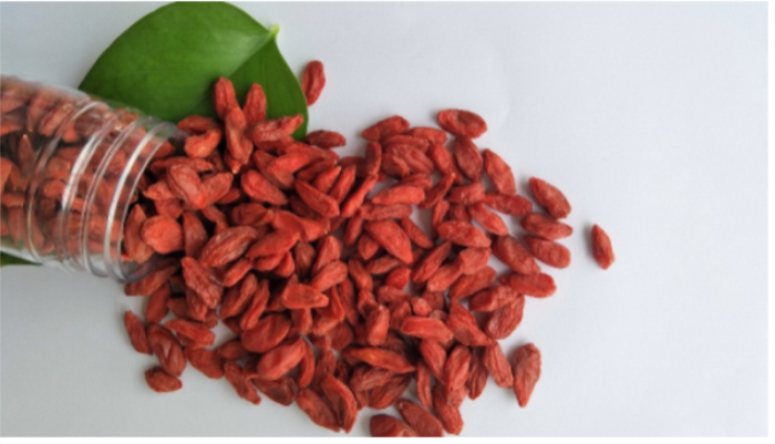 Novo orgânico Goji berry / wolfberry