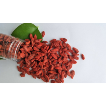 Organic   New crop  Goji berry/wolfberry