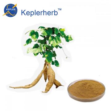 Pueraria Wortel Extract Kudzu Root Extract