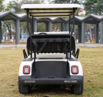 Electric Golf Cart 6 Seater Shuttle for Tourist Sightseeing