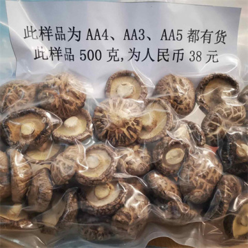 Cogumelos shiitake secos (aa4/aa3/aa5)