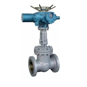 Power station Electric gate valve
