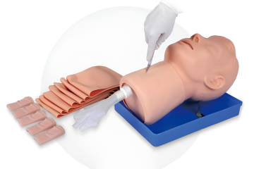 Crico-Thyroid-Pünktlichkeitstrainingsmodell