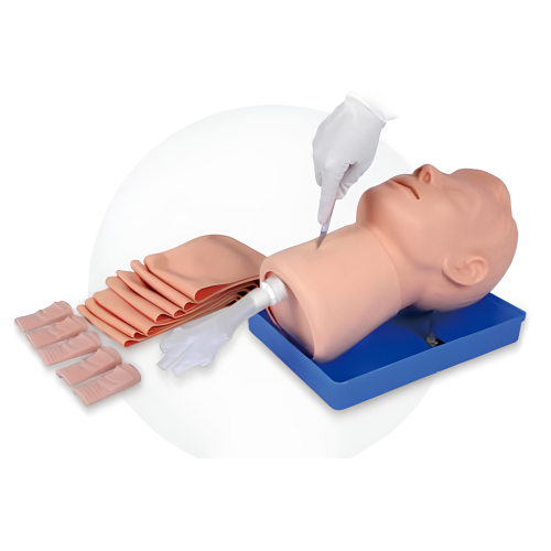 Improve the Technique of Circumthyroidectomy Crico-Thyroid Puncture Training Model Supplier