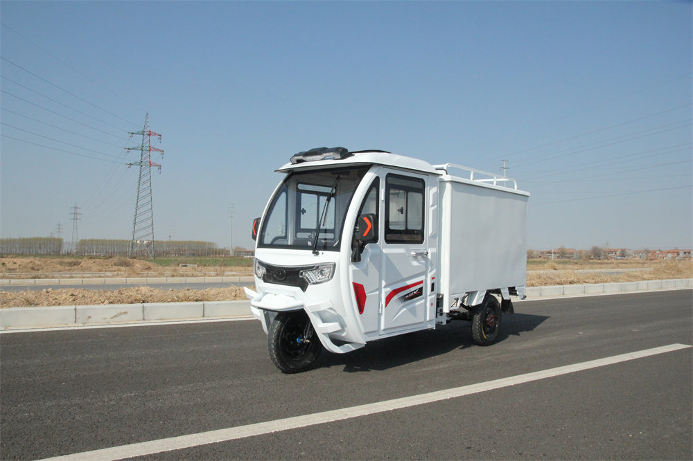 Fully Enclosed Electric Van